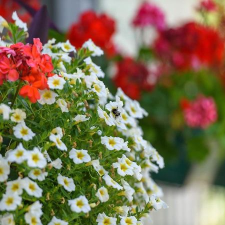Apartments Beba - Peaceful Location Трогир Екстериор снимка